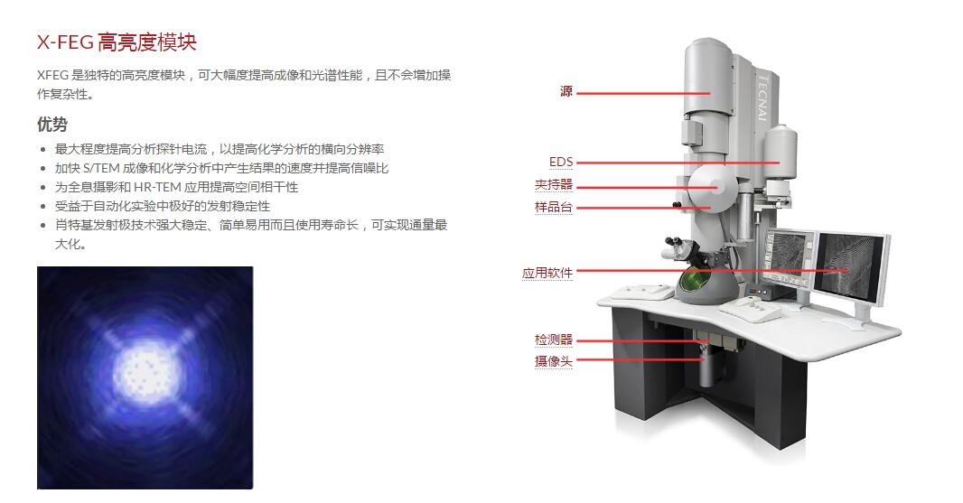 15562438063279.jpg 电镜.jpg