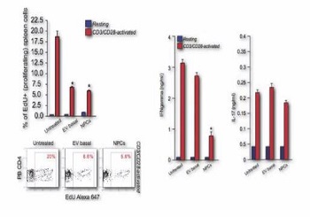 Exosome：揭秘干细胞与免疫细胞如何“对话”