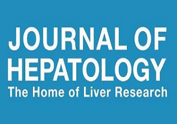 树突状细胞衍生的外泌体在本体肝细胞癌小鼠模型中引发肿瘤消退