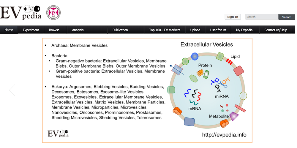 15563752716417.png 2.png