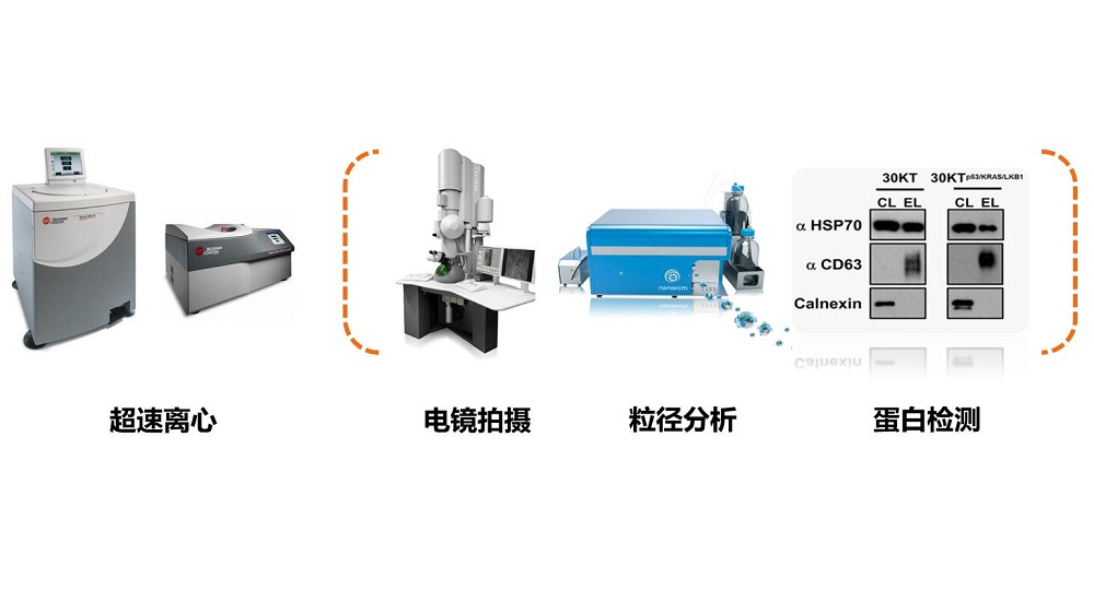 15564206839162.jpg 12.jpg