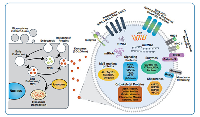 15564231915293.png image.png