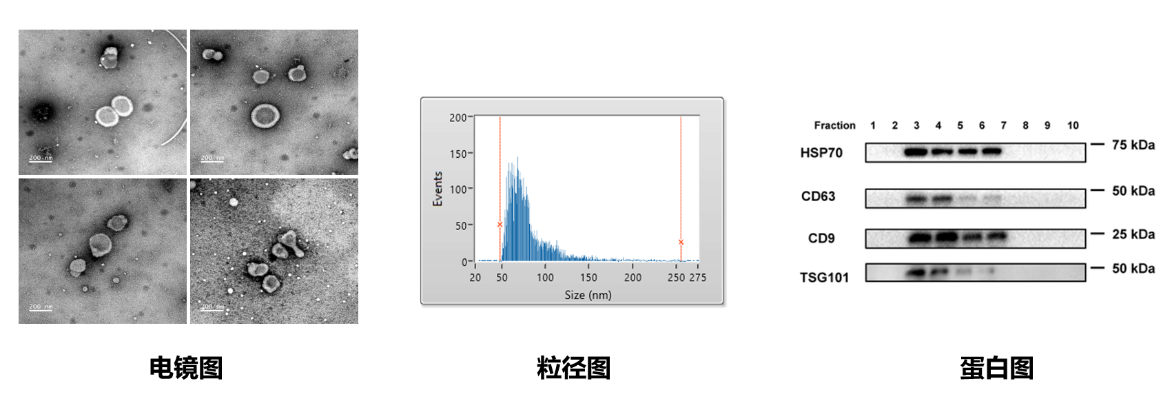 15580724982633.png image.png